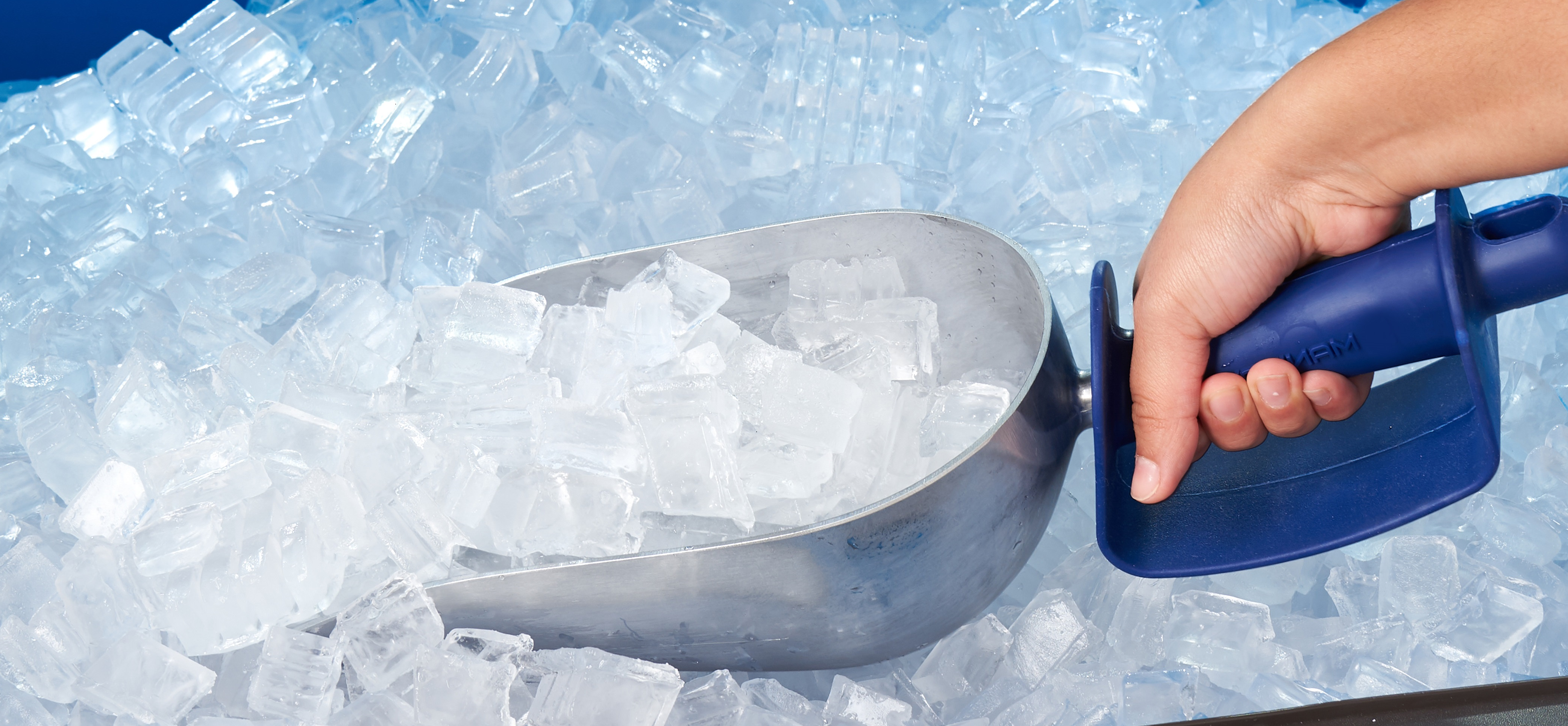 Person Scooping Ice with Pentair Commercial Foodservice Water & Ice Solutions