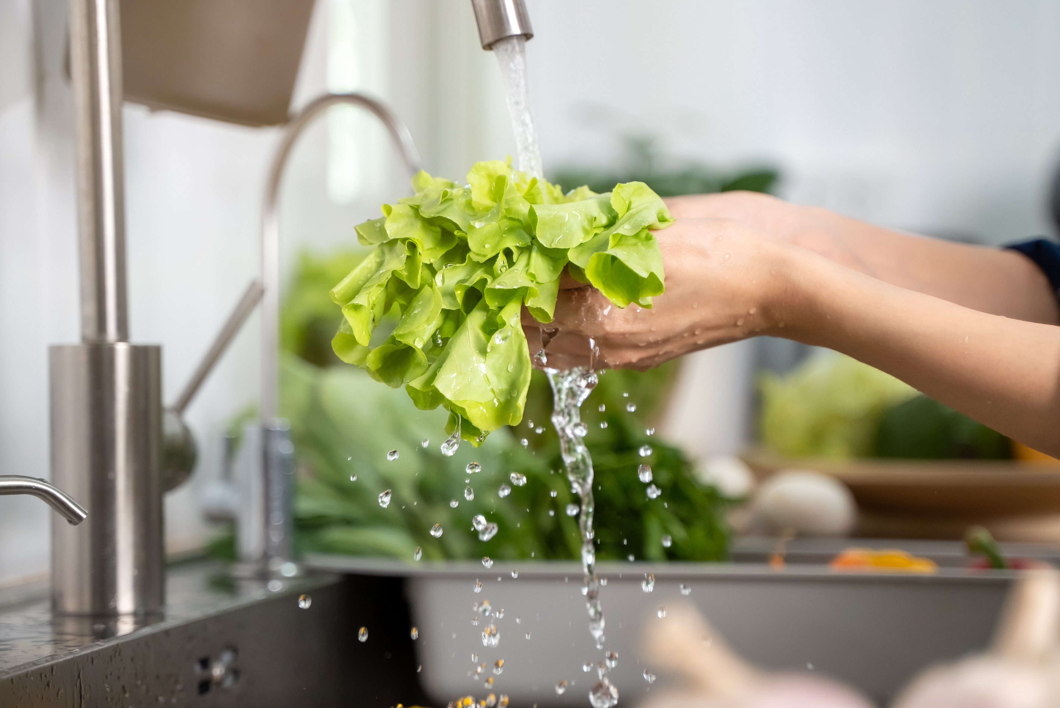 Person washing lettuce in sink powered by Pentair Water Filter Solutions