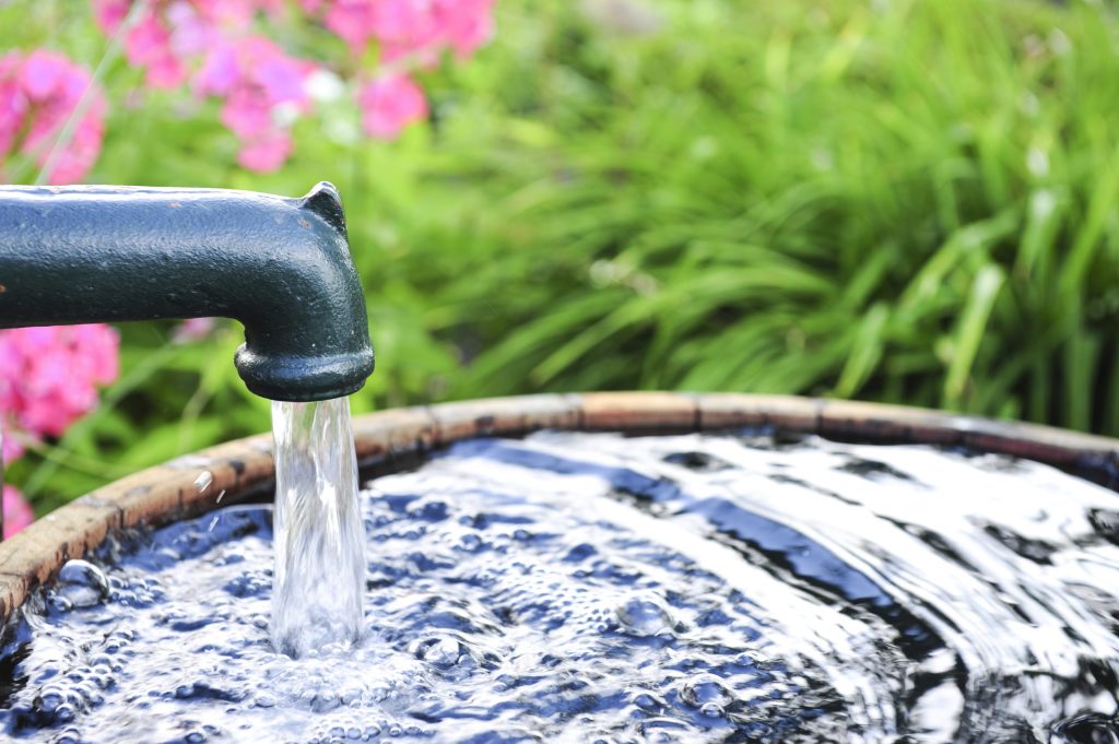 Pentair Water Pump in the Garden for Pentair Water Pump Solutions